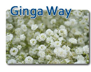 Ginga Way